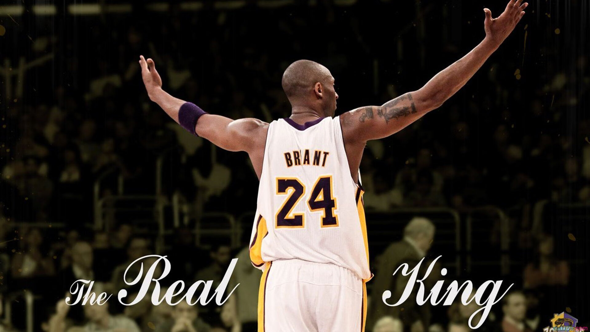 “四川省体育馆:拳击赛上的生死对决”