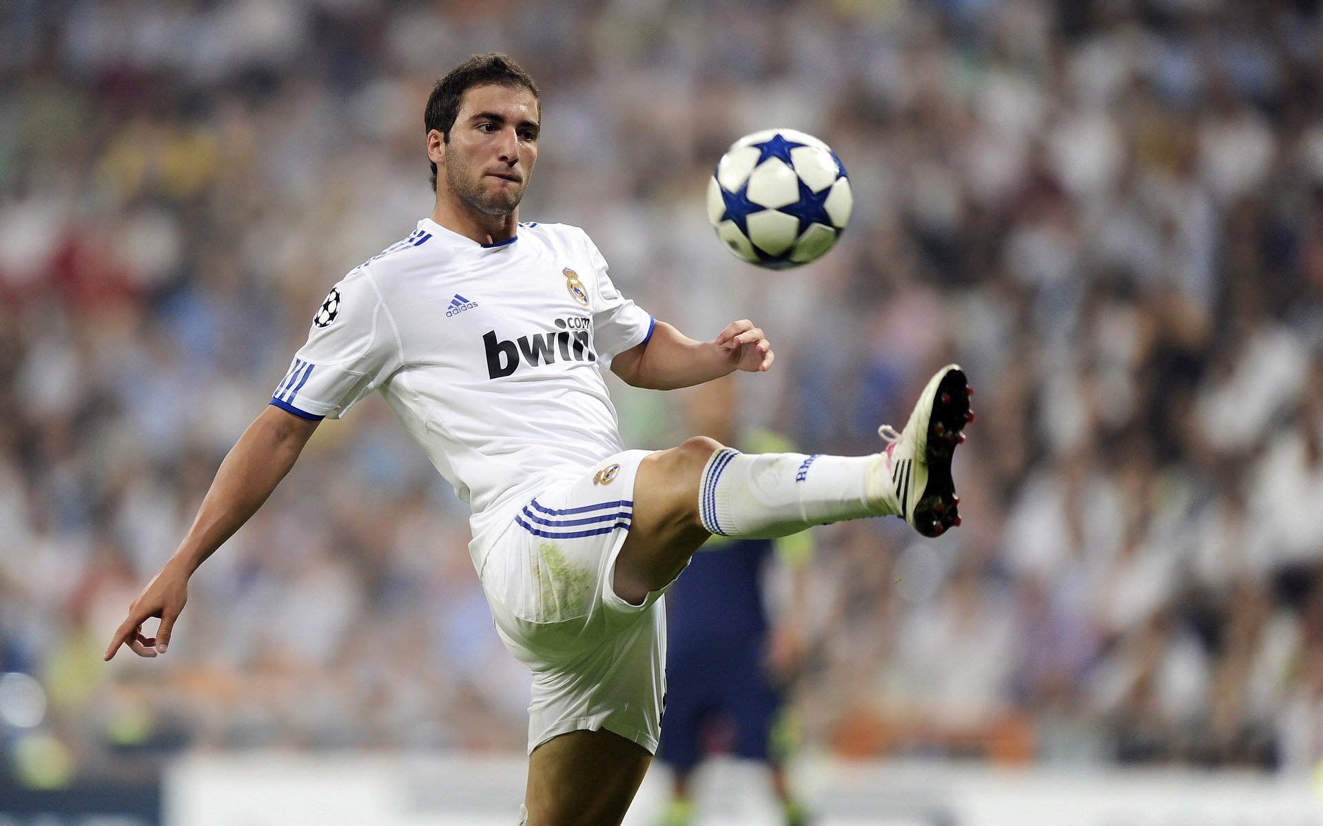 凯尔特人社交平台连载球员成长故事,凯尔特人现状