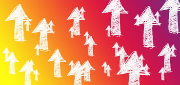 爱游戏体育官网-万名志愿者上线，“世运通”智慧服务保障赛事